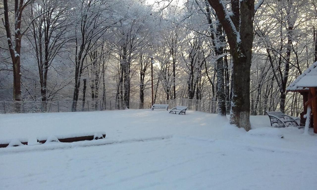 Zatyshok Svalyava Exterior foto